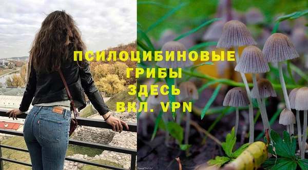 герыч Абдулино