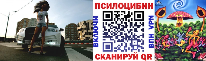 Псилоцибиновые грибы GOLDEN TEACHER  Катайск 
